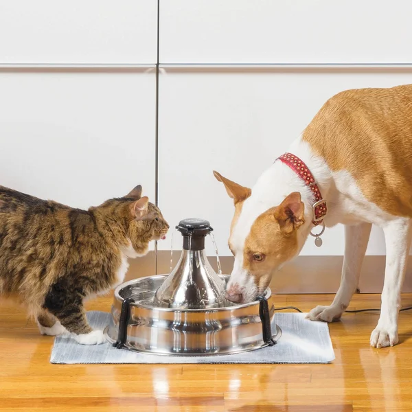 Drinkwell 360 Pet Fountain - Stainless Steel PetSafe