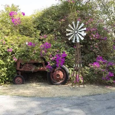Hubertine Garden Metal Kinetic Windmill Gracie Oaks