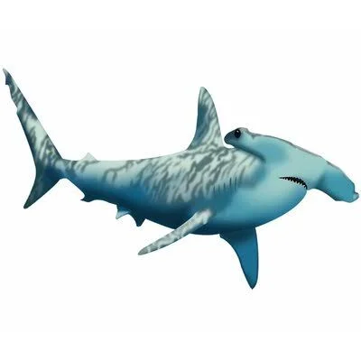 Neerav Hammerhead Shark Ocean Animals Wall Decal Zoomie Kids Size: 24x22 H x 40x22 W x 0.01x22 D