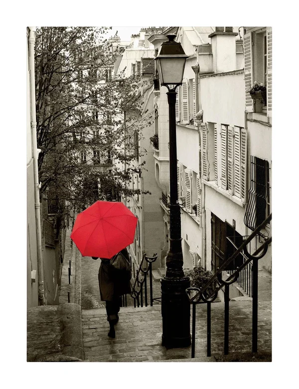 Trademark Fine Art Sue Schlabach &Paris Stroll II& Canvas Art - 35 x 47