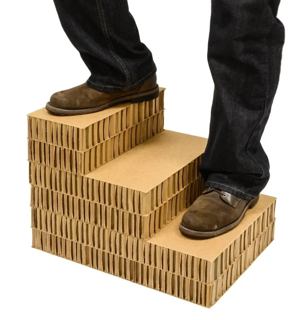 Dallas Manufacturing Co. 3 Step Home D閏or Pet Steps, Brown & Tan