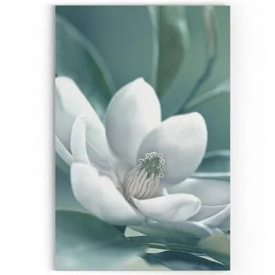 &Magnolia& Morning Oil Painting Print on Wrapped Canvas House of Hampton Size: 36x22 H x 24x22 W