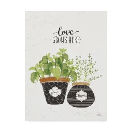 Trademark Fine Art 'Fine Herbs V' Graphic Art Print on Wrapped Canvas, White