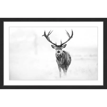 Elk Stare Framed Painting Print - Size: 16 inch x 24 inch, Black