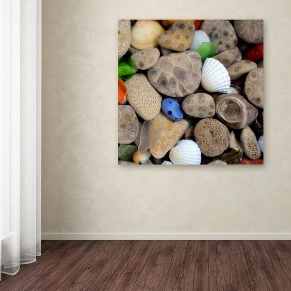 Trademark Global Michelle Calkins 'PetoskeyStones V' Canvas Art