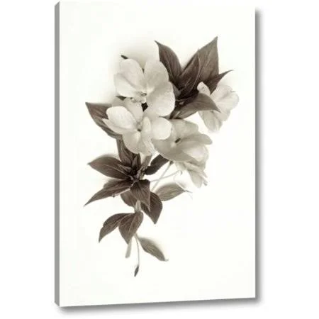 Winston Porter 'Garden Bloom - 4' by Alan Blaustein Giclee Art Print on Wrapped Canvas, Size: 32 inch H x 21 inch W x 1.5 inch D