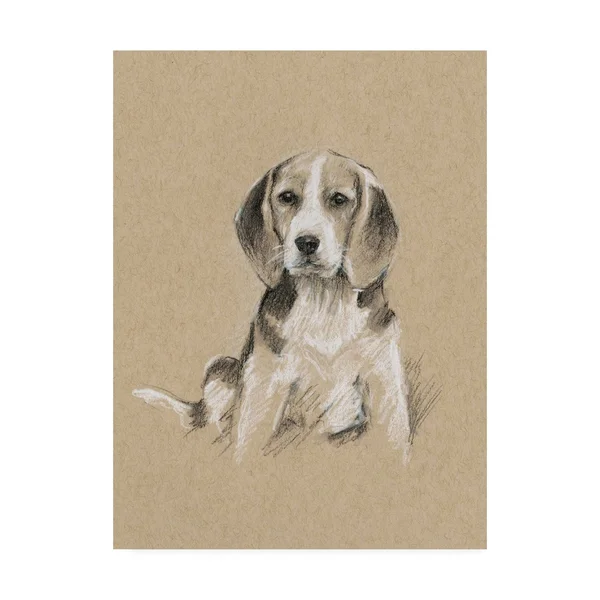 Trademark Fine Art 'Breed sketches I' Canvas Art by Ethan Harper - Size: 18 x 24