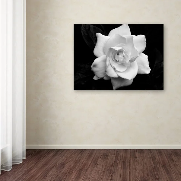 Trademark Global Kurt Shaffer &Gardenia in Black and White& Canvas Art