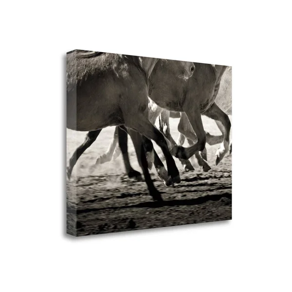 24x22 x 32x22 Off to The Races by Lisa Cueman Fine Art Giclee Print
