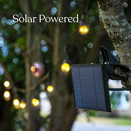 Ambience Pro Solar 1W - Waterproof LED Outdoor Solar String Lights - 27 ft