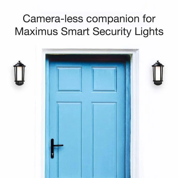 Maximus Smart Security Companion Light - Traditional - Bronze