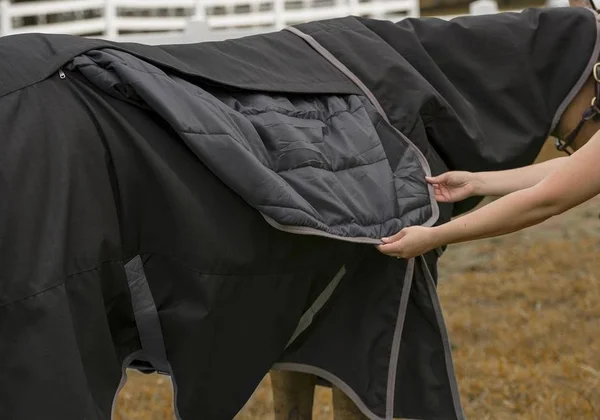 TuffRider All Season Blanket - Black, 75