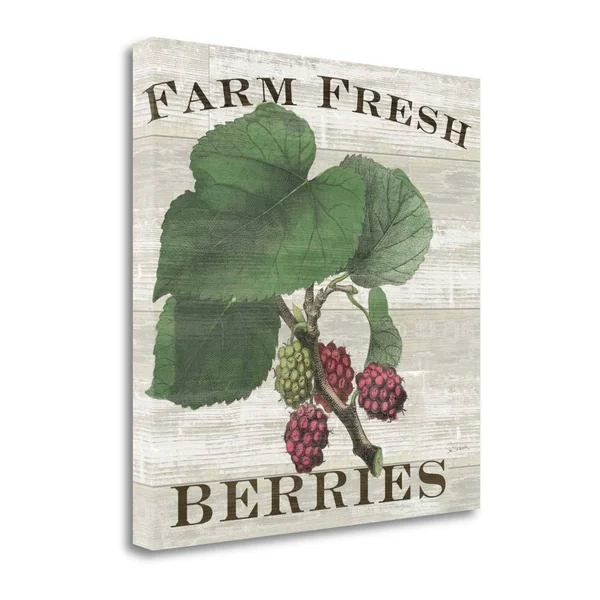 Tangletown Fine Art Farm Fresh Raspberries by Sue Schlabach Graphic Art on Wrapped Canvas