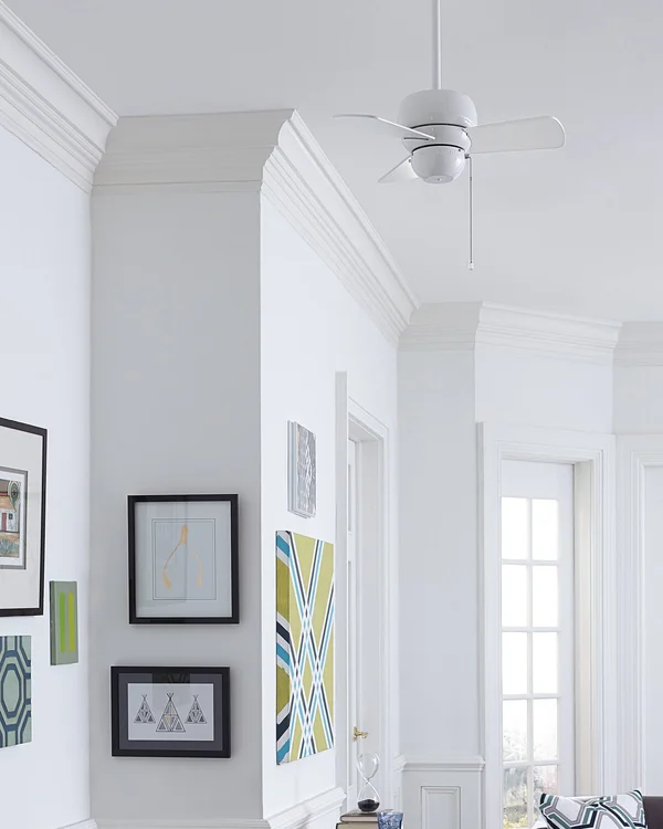 Monte Carlo Micro 24x22 Ceiling Fan - White - White Blades