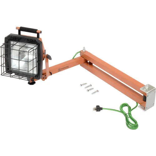 Designers Edge 500W Halogen Wall Mounted Power Light with 40x22 Arm, 10&