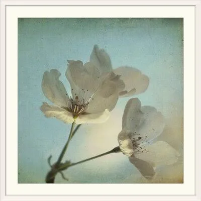 &Spring Sings& Dawn D. Hanna Photographic Print Great Big Canvas Format: White Frame - Size: 28x22 H x 28x22 W x 1x22 D