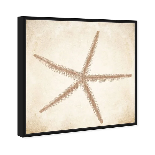 Oliver Gal 'Starfish Taupe' Nautical and Coastal Wall Art Framed Canvas Print Marine Life - Brown, Brown - 30 x 30 - Gold