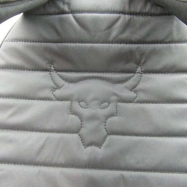 Under Armour Project Rock Brahma Backpack, Black