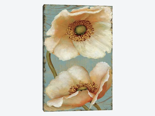 Daphne Brissonnet Canvas Wall Decor Prints - Windflower IV