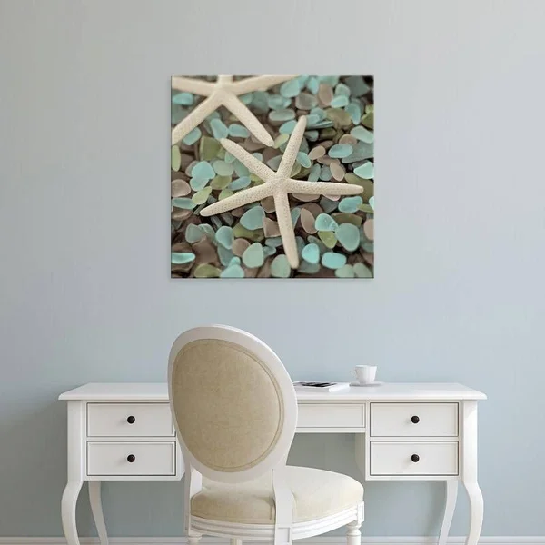 Easy Art Prints Alan Blaustein's 'Aquatic 1' Premium Canvas Art - 12 x 12 - Brazilian Barnwood Frame