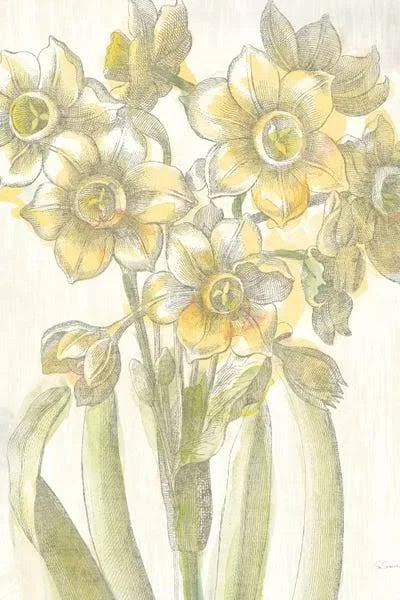 Sue Schlabach Large 3-Piece Canvas Print - Belle Fleur Jaune IV ( Floral & Botanical > Flowers > Daffodils art)