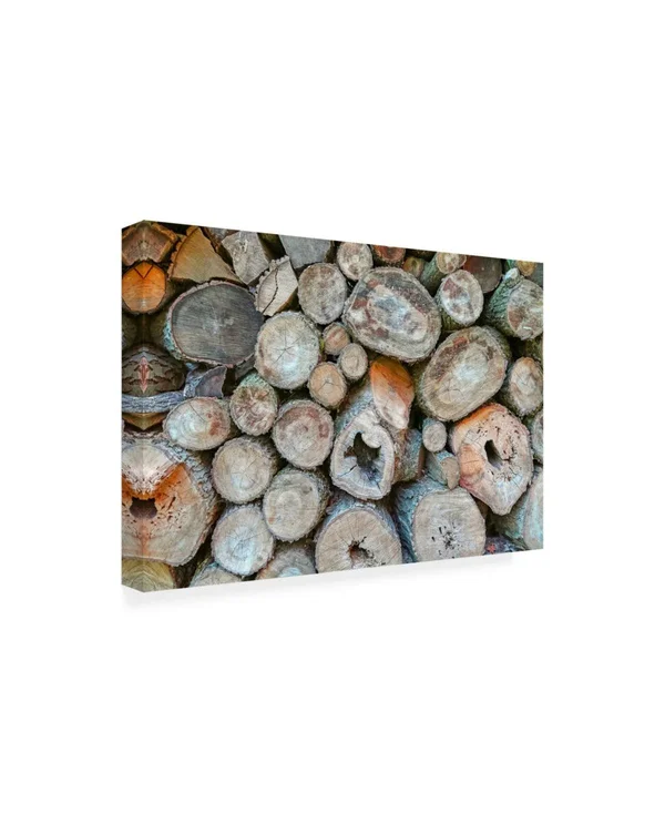 Trademark Fine Art Ic01571-C2232Gg Brooke T. Ryan 'Woodpile' Canvas AR
