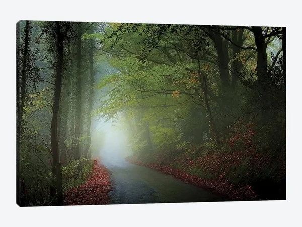 The Lane Canvas Artwork Print by Adelino Goncalves ( scenic & landscapes > Nature > trails - Paths & Roads art)