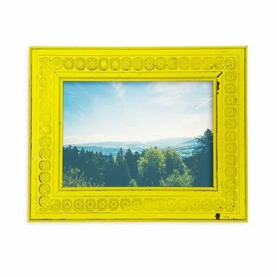 Mohler Flower Power Picture Frame Rosalind Wheeler Color: White, Picture Size: 8x22 x 16x22