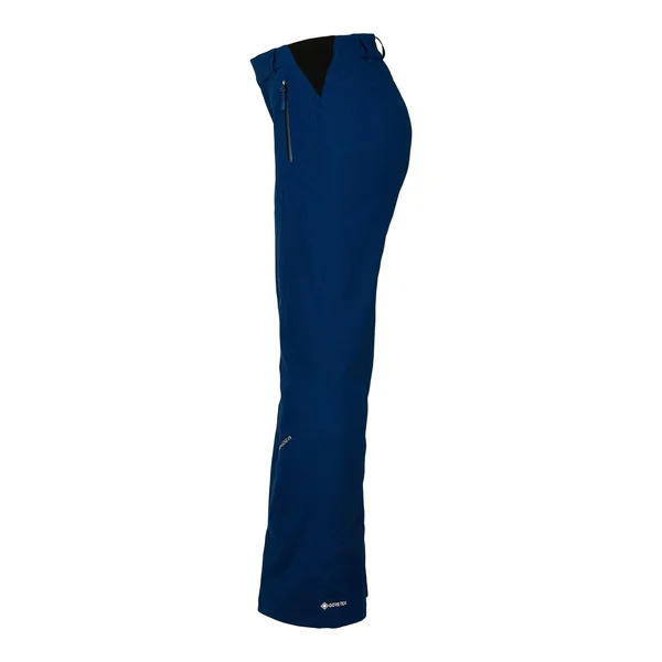 Spyder Winner Gore-Tex Pant - Women's Wish - 10/Reg