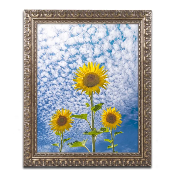 Trademark Art Michael Blanchette Sunflower Triad Ornate Framed Art