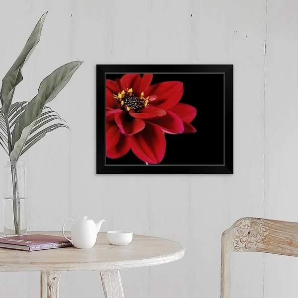 Red Flower on Black 02 - Black Framed Wall Art, 20x16, Great Big Canvas