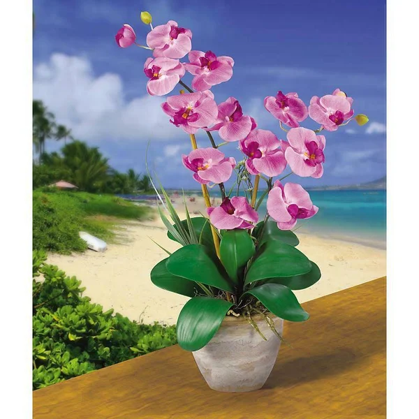 Nearly Natural Double Stem Phalaenopsis Silk Orchid Arrangement Mauve