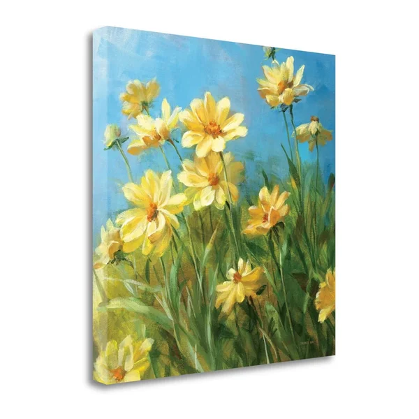 25x22 x 25x22 Summer Field I by Danhui Nai Fine Art Giclee Print