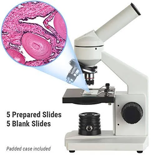 Amscope 40X-1000X Biological Science Student Compound Microscope