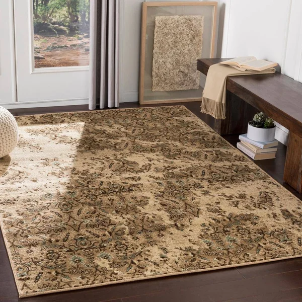 Surya Paramount PAR1067 Area Rug - 6&7x22 x 9&6x22