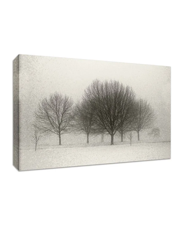 24x22 x 36x22 Fading Memories Fine Art Giclee Print