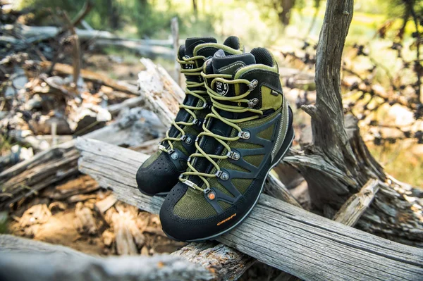 Crispi Thor II GTX Non-Insulated Hunting Boots, Olive, 8 Wide