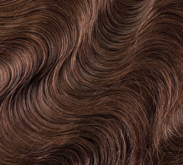 Mayvenn Virgin Malaysian Body Wave Bundle Hair Extensions, 12x22 Length, Chocolate Brown