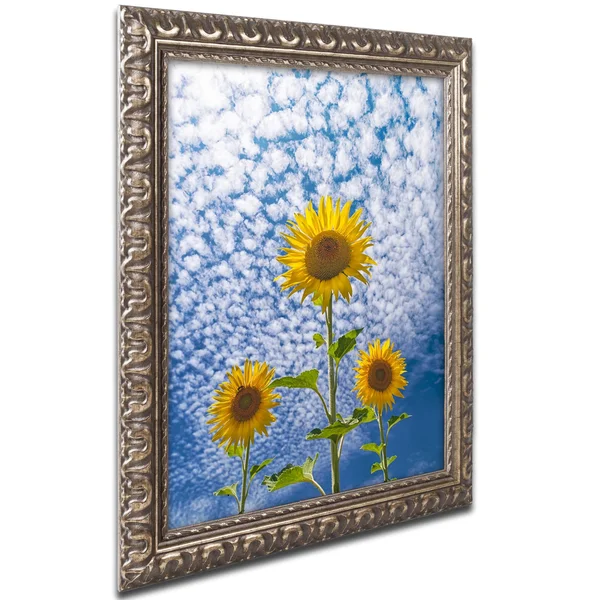Trademark Art Michael Blanchette Sunflower Triad Ornate Framed Art
