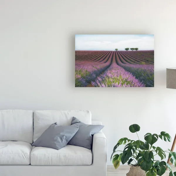 Trademark Fine Art 1X08441-C1219Gg MC 'Velours De Lavender' Canvas Art