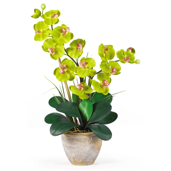 Nearly Natural Double Stem Phalaenopsis Silk Orchid Arrangement Mauve