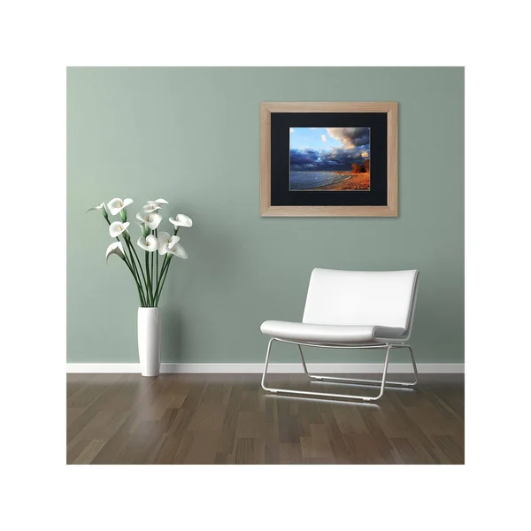 Trademark Fine Art &Lake Erie Autumn& by Jason Shaffer Framed Photographic Print - Size: 11x22 H x 14x22 W x 0.5x22 D, Matte Col