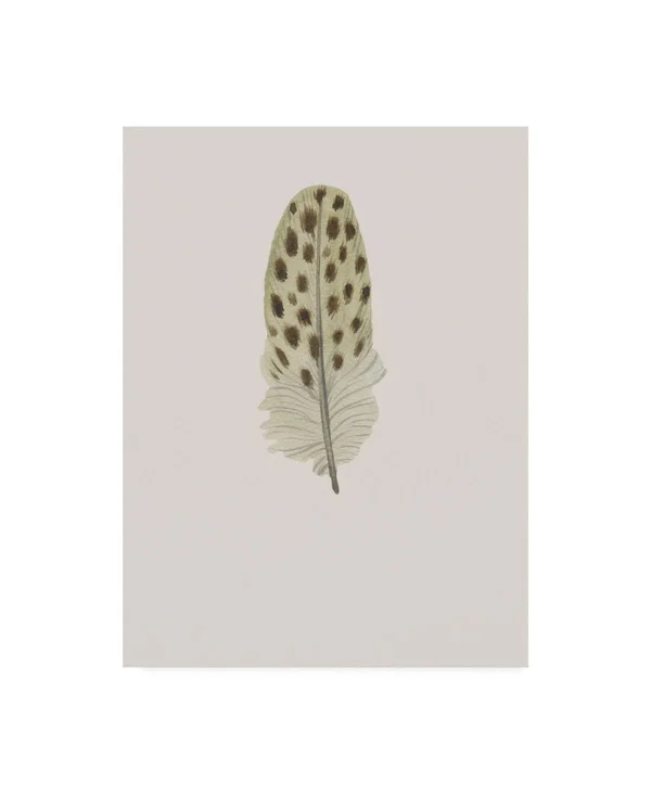 Trademark Fine Art Ic01713-C2432Gg Incado 'Feather 10' Canvas Art - 24X3