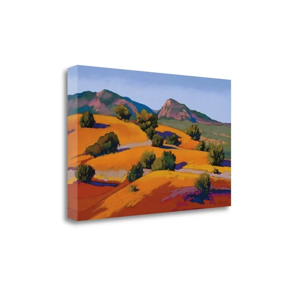 25x22 x 40x22 Juniper Hills by Mary Silverwood Fine Art Giclee Print