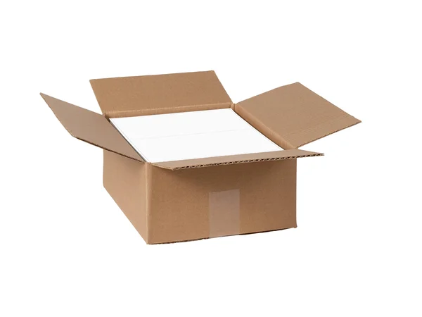 Avery TrueBlock Shipping labels - 5.5x22 x 8.5