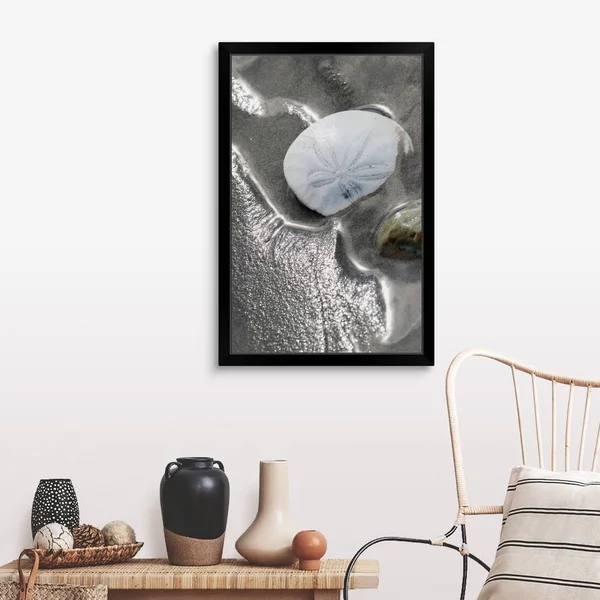 Sand Dollar - Black Framed Wall Art, 24x36, Great Big Canvas