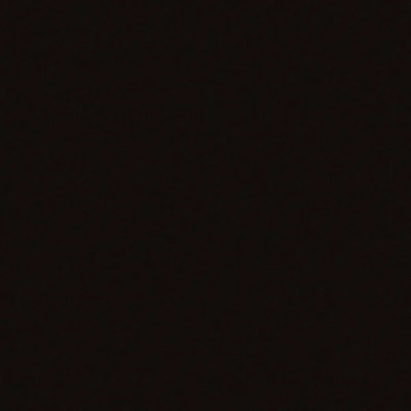 Blanco 442925 Precis 33x22 L x 18x22 W Double Basin Undermount Kitchen Sink Finish: Coal Black