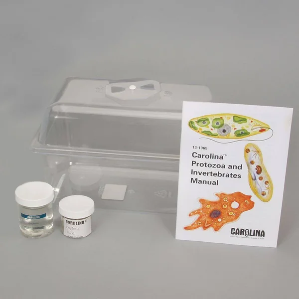 Daphnia Magna Culture Kit - Living