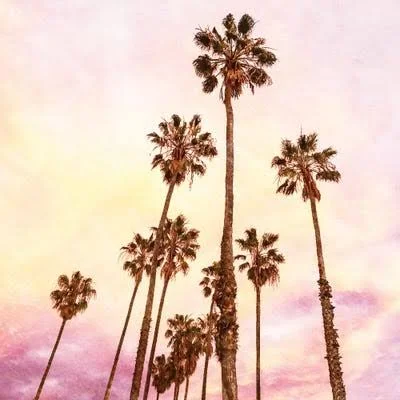 Tryptich Large Canvas Art Print - Coconut Groove ( Floral & Botanical > Tree Art > Palm Trees art)