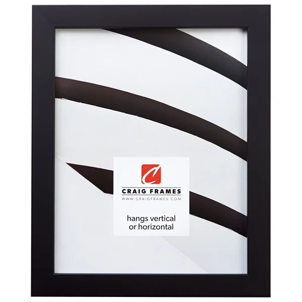 Craig Frames Confetti - 16 x 24 inch Picture Frame, Black
